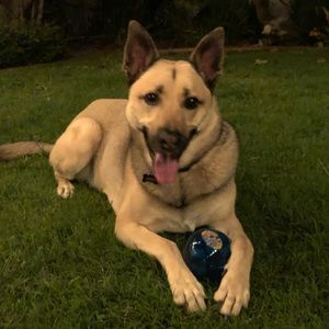 Meet your Posher, Kristine